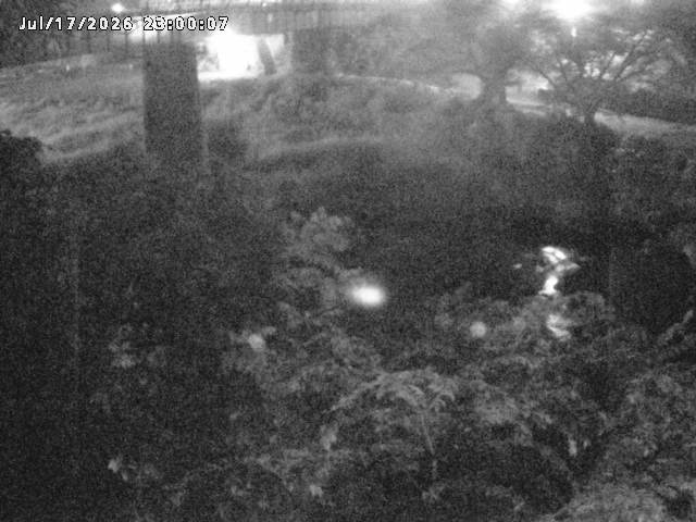 日野川１０2026/07/18 14:10:00