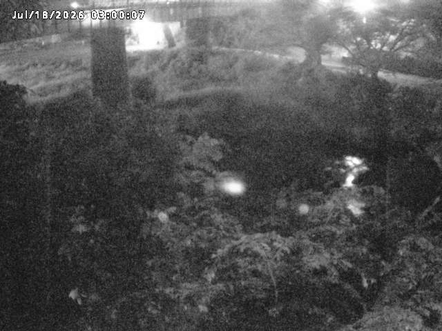 日野川１０2026/07/18 14:10:00