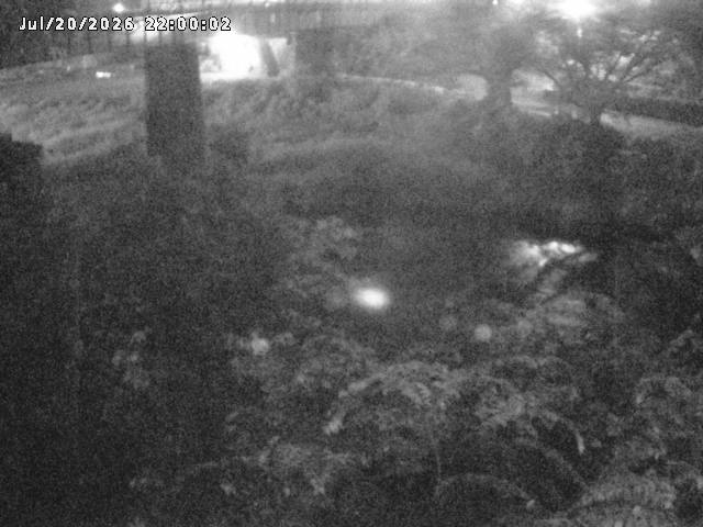 日野川１０2026/07/21 17:40:00
