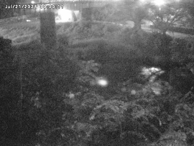 日野川１０2026/07/21 17:40:00