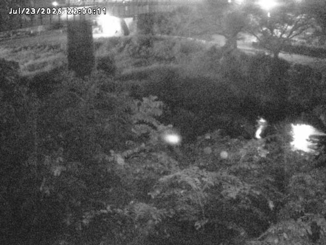 日野川１０2026/07/24 19:00:00