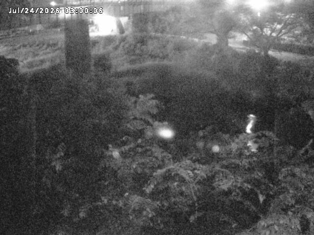 日野川１０2026/07/24 19:00:00