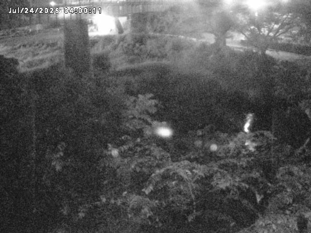 日野川１０2026/07/24 19:00:00