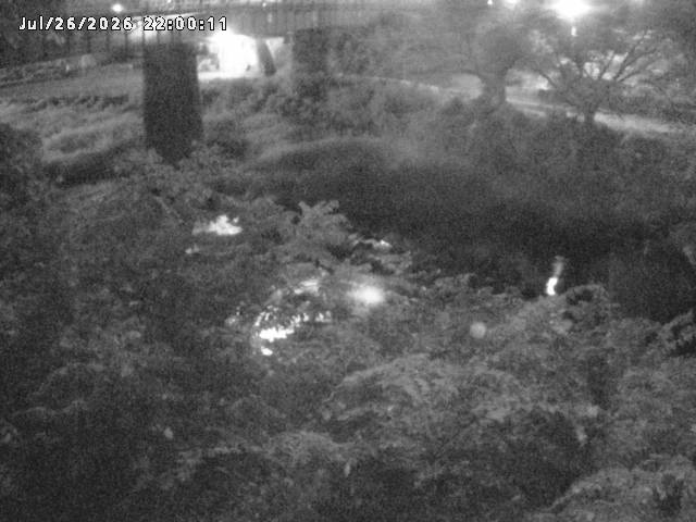 日野川１０2026/07/27 19:50:00