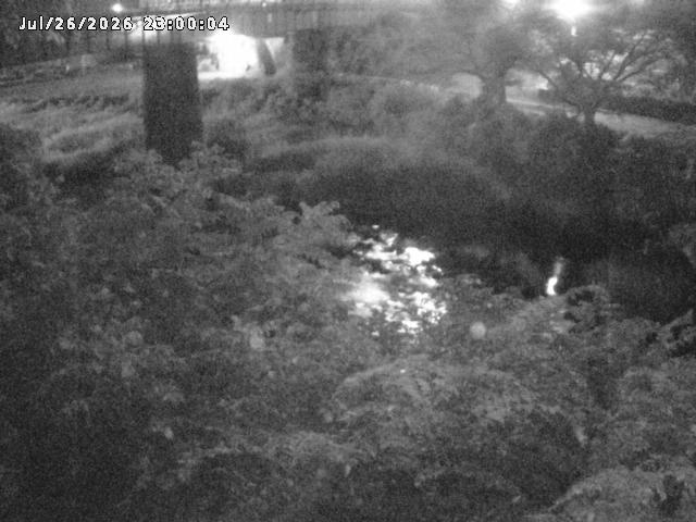 日野川１０2026/07/27 19:50:00