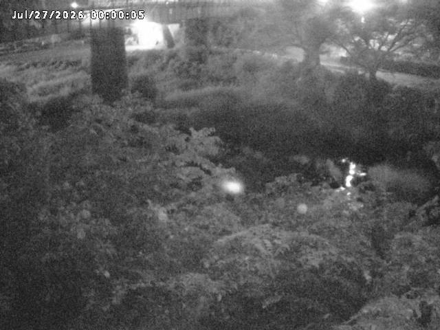 日野川１０2026/07/27 19:50:00