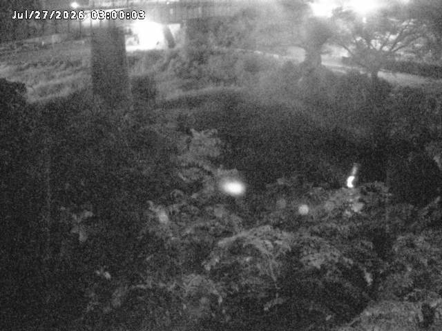 日野川１０2026/07/27 19:50:00