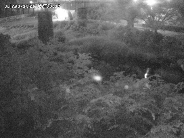 日野川１０2026/07/30 20:10:00