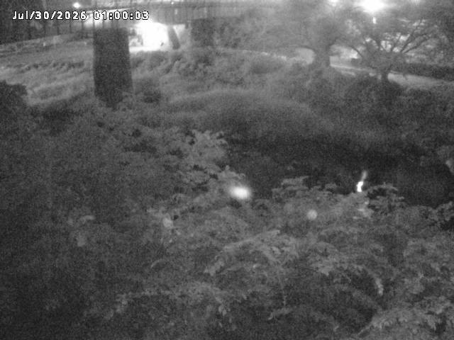 日野川１０2026/07/30 20:10:00