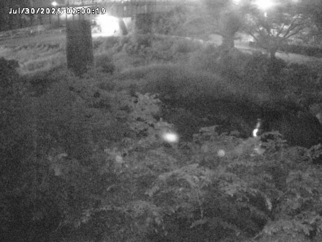 日野川１０2026/07/30 20:10:00
