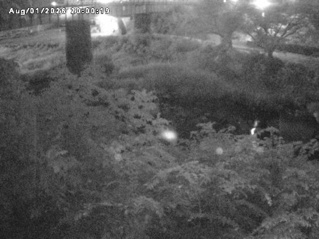 日野川１０2026/08/02 20:30:00