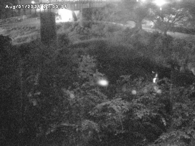 日野川１０2026/08/02 20:30:00