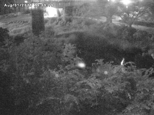 日野川１０2026/08/02 20:30:00