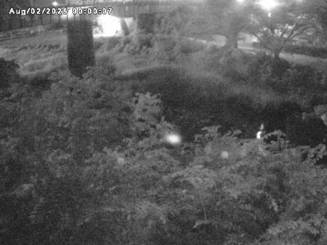 日野川１０2026/08/02 20:30:00