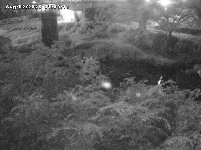 日野川１０2026/08/02 20:30:00