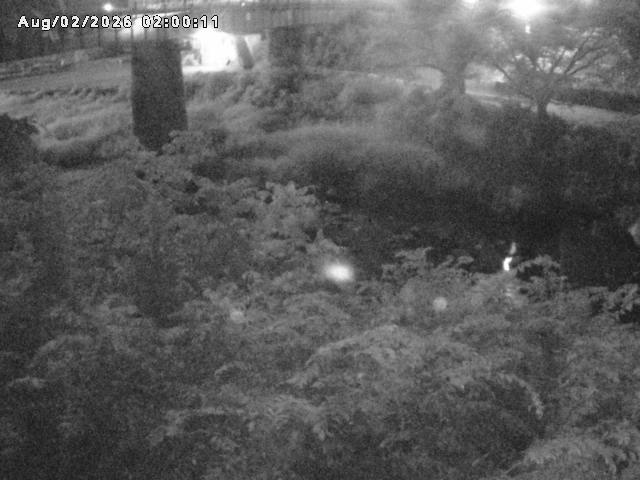 日野川１０2026/08/02 20:30:00