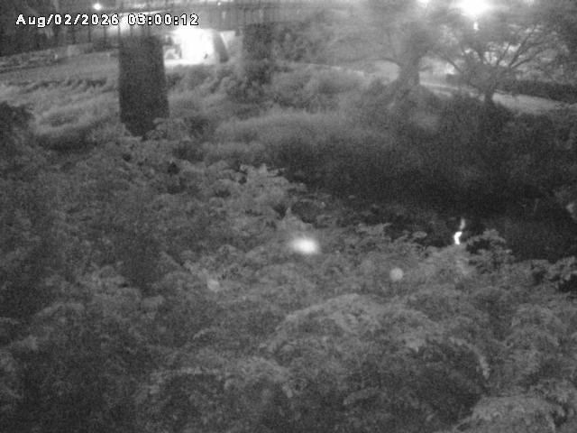 日野川１０2026/08/02 20:30:00