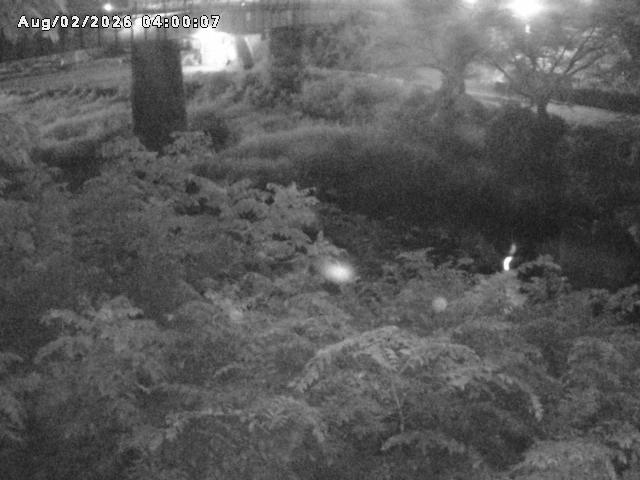 日野川１０2026/08/02 20:30:00