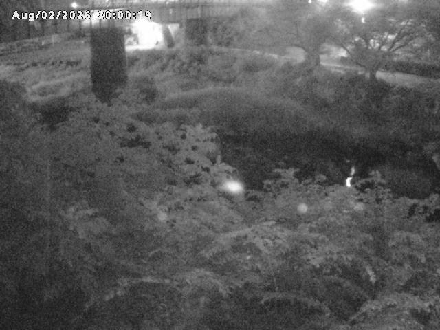 日野川１０2026/08/02 20:30:00