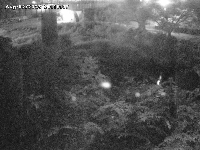 日野川１０2026/08/02 20:30:00