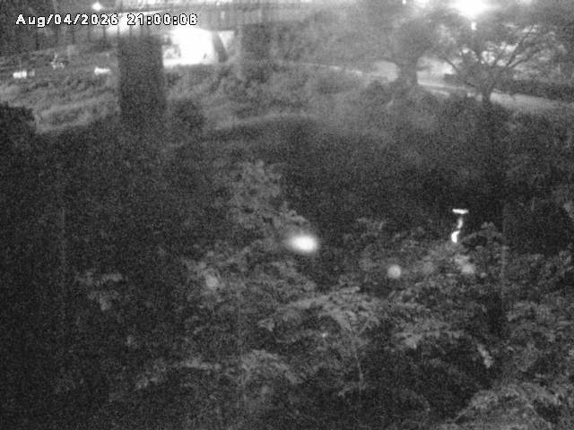 日野川１０2026/08/05 21:40:00