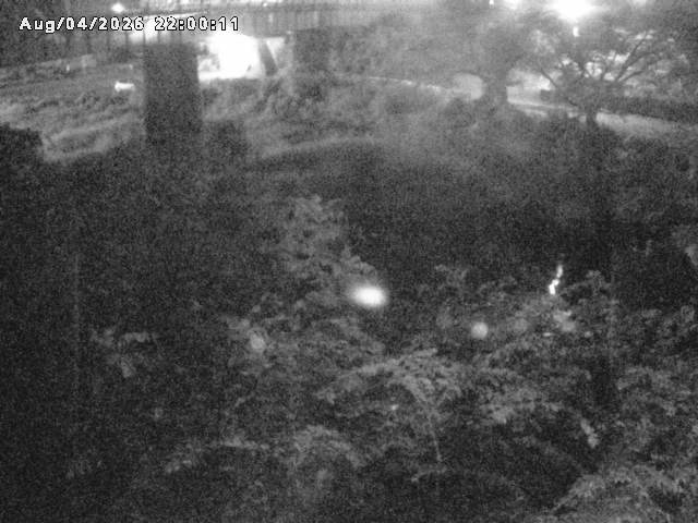 日野川１０2026/08/05 21:40:00