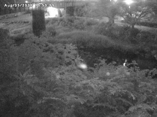 日野川１０2026/08/05 21:40:00
