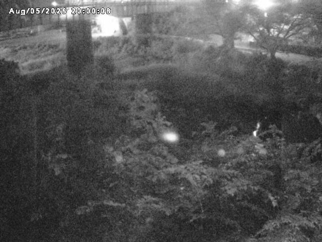 日野川１０2026/08/05 21:40:00