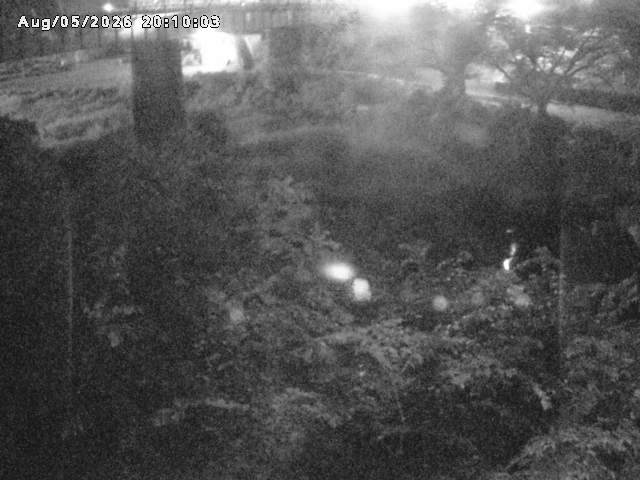日野川１０2026/08/05 21:40:00