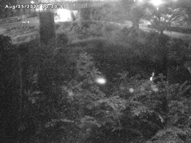 日野川１０2026/08/05 21:40:00