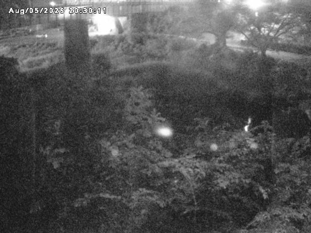 日野川１０2026/08/05 21:40:00