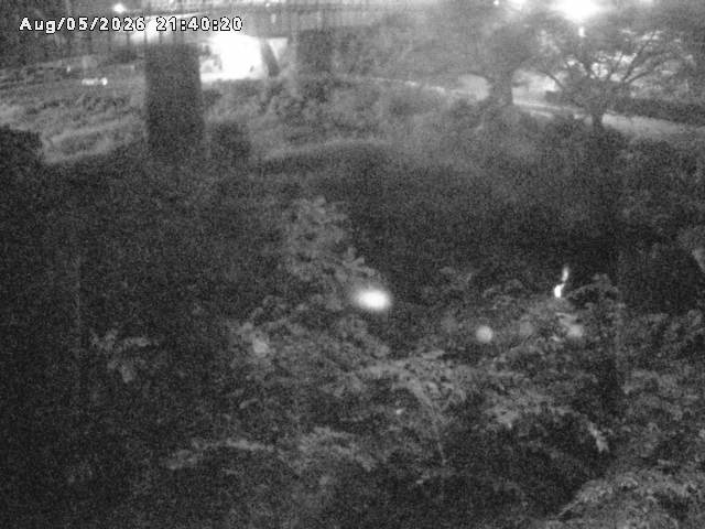日野川１０2026/08/05 21:40:00