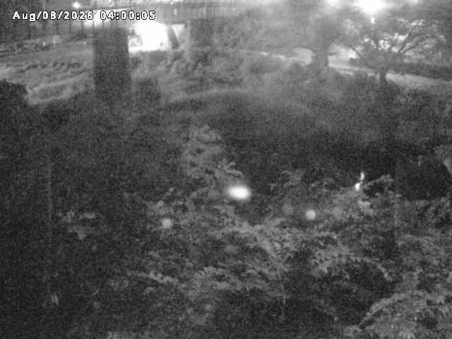 日野川１０2026/08/09 0:10:00