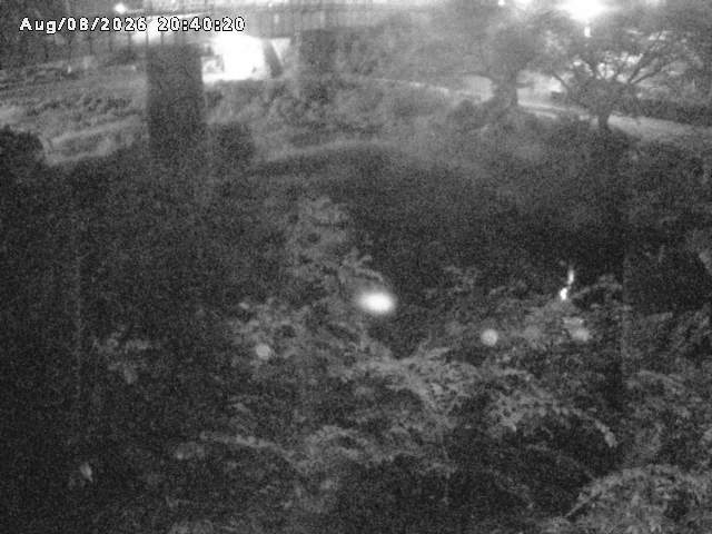 日野川１０2026/08/09 0:10:00