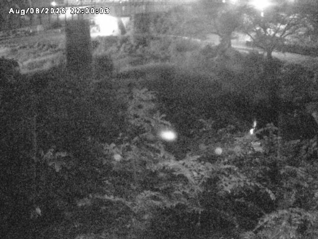 日野川１０2026/08/09 0:10:00