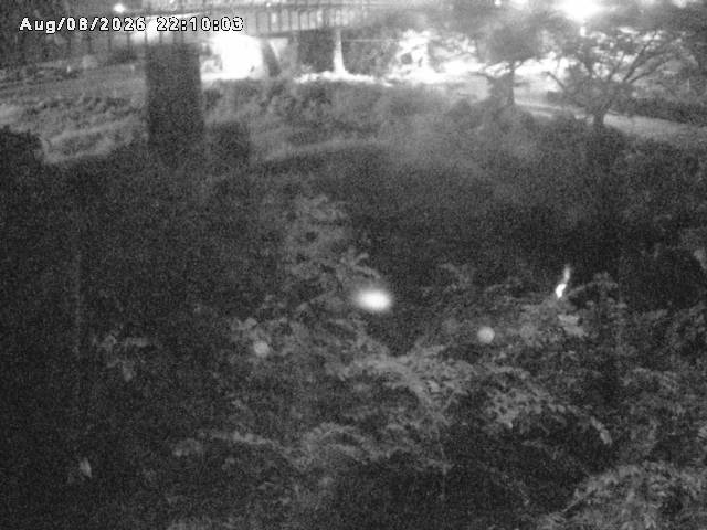 日野川１０2026/08/09 0:10:00
