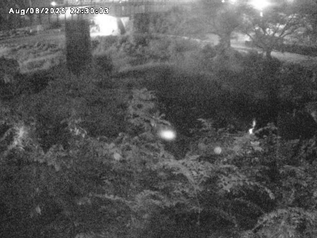 日野川１０2026/08/09 0:10:00