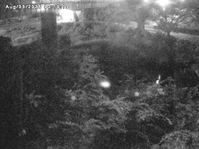 日野川１０2026/08/09 0:10:00