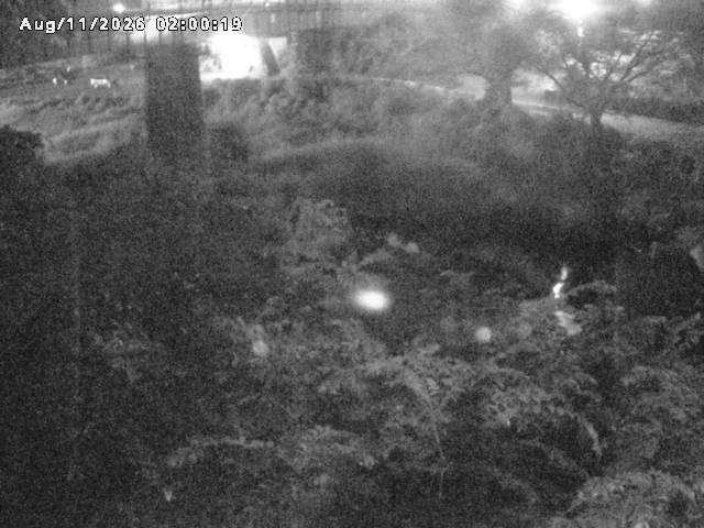 日野川１０2026/08/12 1:40:00