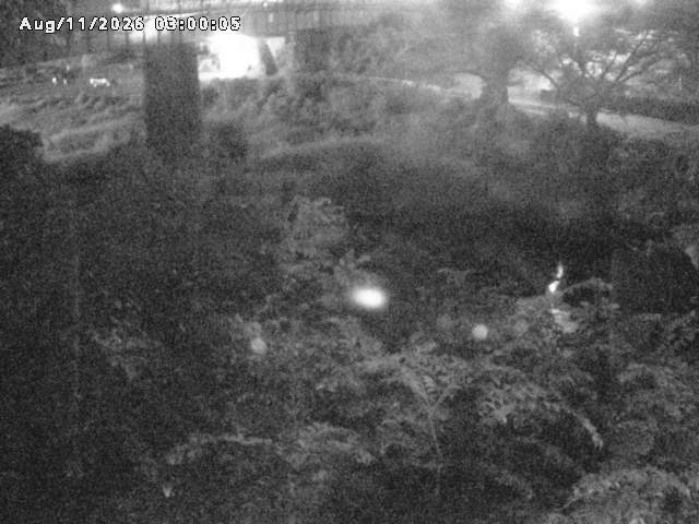 日野川１０2026/08/12 1:40:00