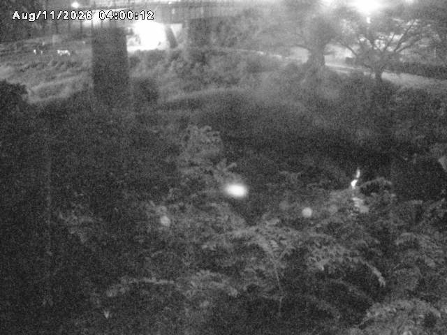日野川１０2026/08/12 1:40:00
