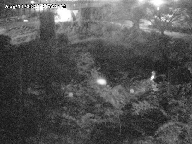 日野川１０2026/08/12 1:40:00