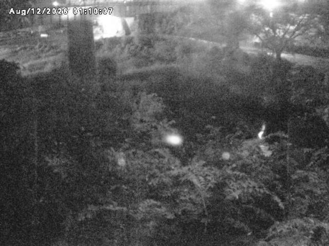 日野川１０2026/08/12 1:40:00