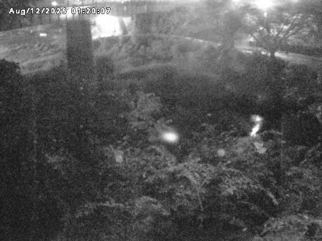 日野川１０2026/08/12 1:40:00