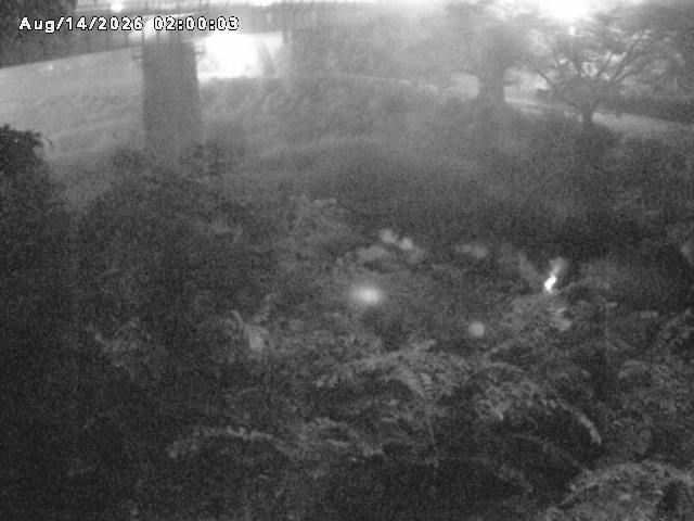 日野川１０2026/08/15 2:20:00