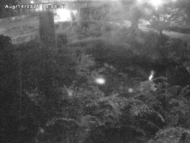 日野川１０2026/08/15 2:20:00