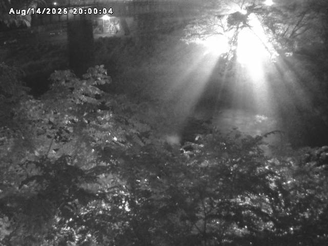 日野川１０2026/08/15 2:20:00