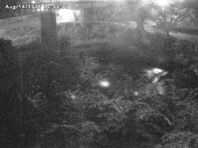 日野川１０2026/08/15 2:20:00