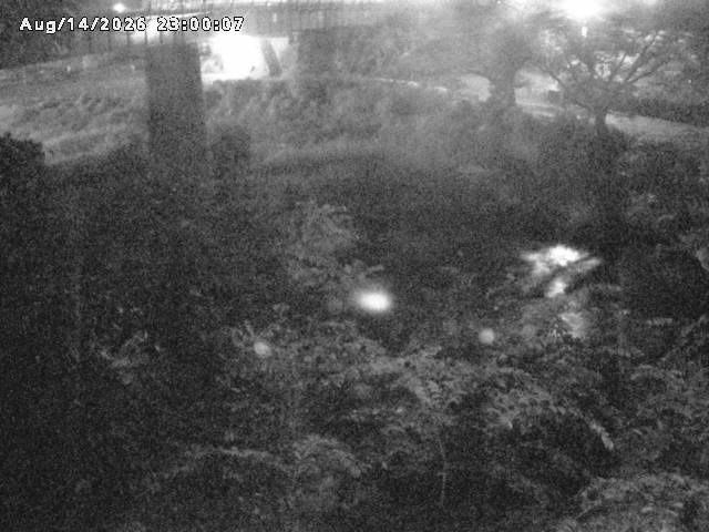 日野川１０2026/08/15 2:20:00