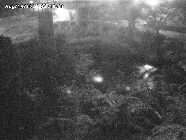 日野川１０2026/08/15 2:20:00